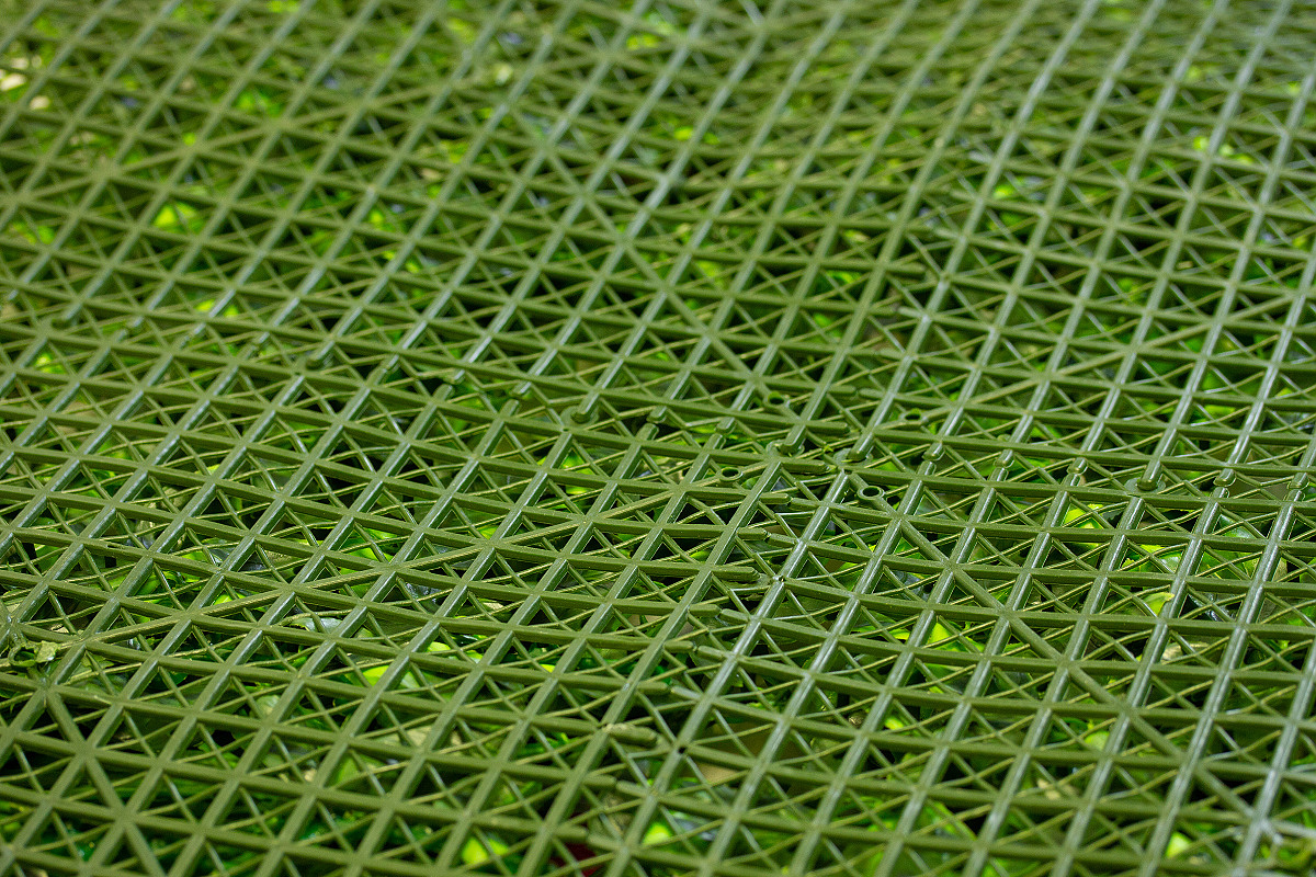WALL GREEN white Fern, dielec 100 x 100 cm