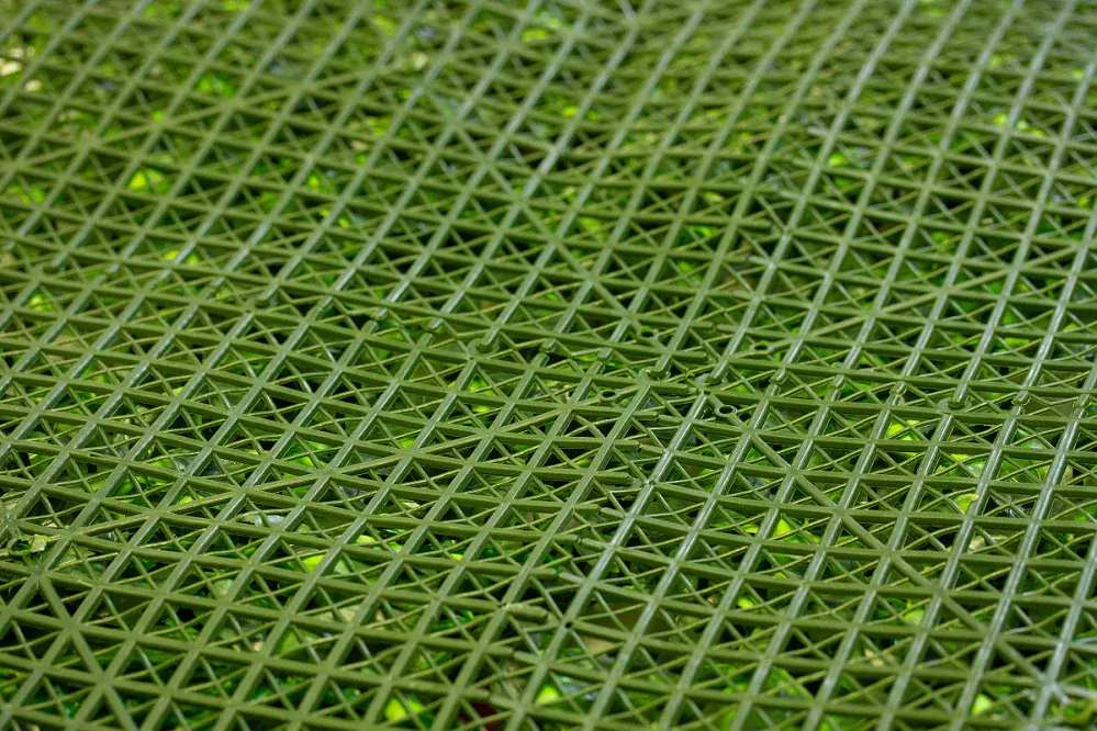 WALL GREEN Schefflera, dielec 100 x 100 cm