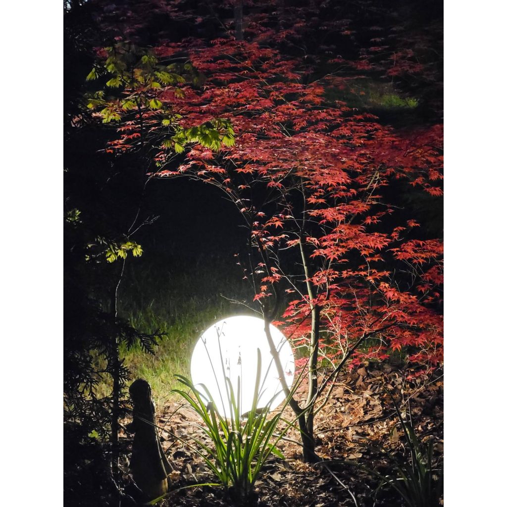 Round 50, 4 W, RGB LED