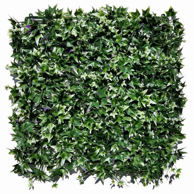 Hedera mini VG, dielec 50 x 50 cm