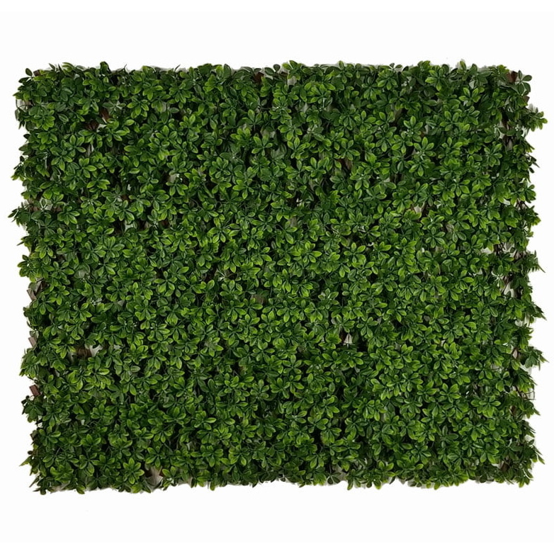 SCHEFFLERA EXT, rozmer 1,0x2,0 m