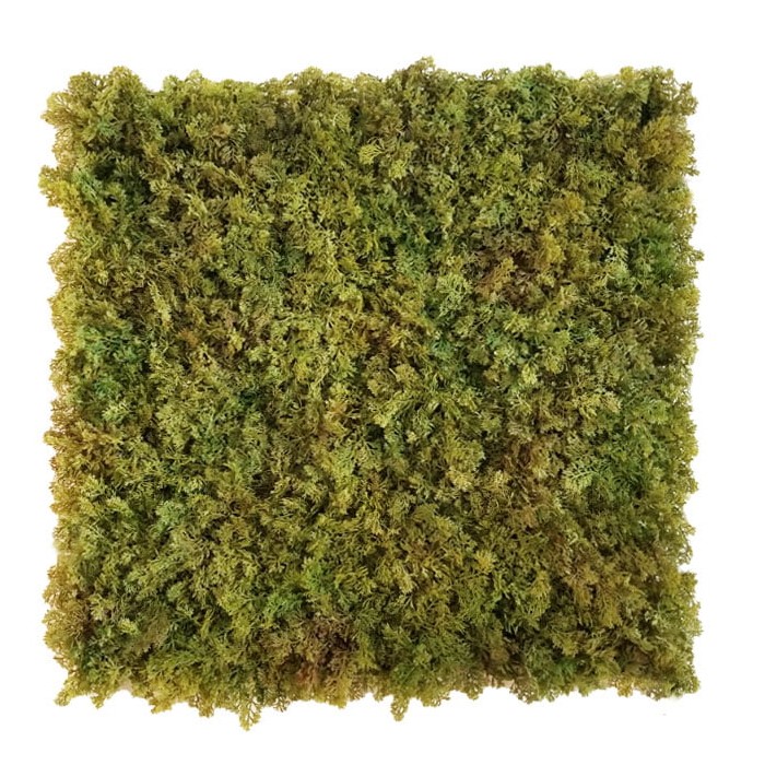 Shaggy moss green/brown, dielec 50 x 50 cm
