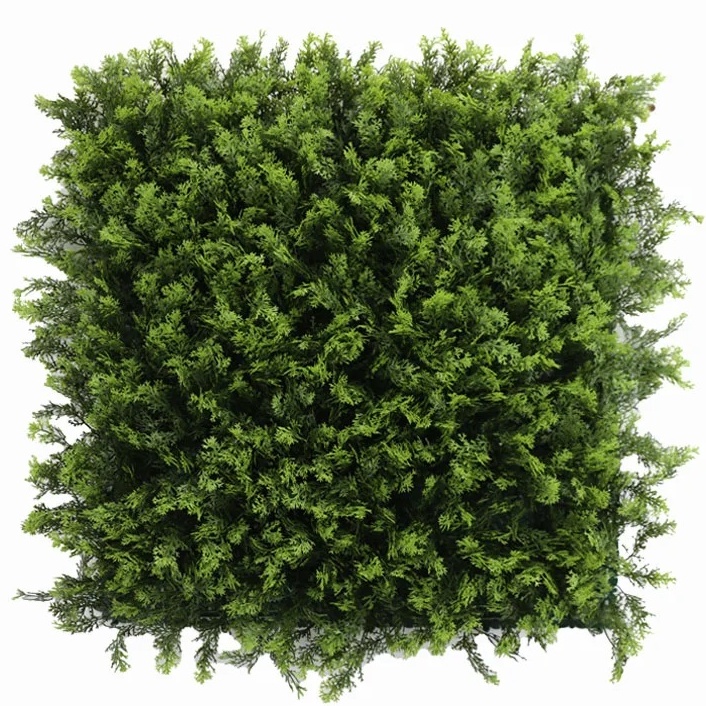 THUJA green, dielec 50 x 50 cm