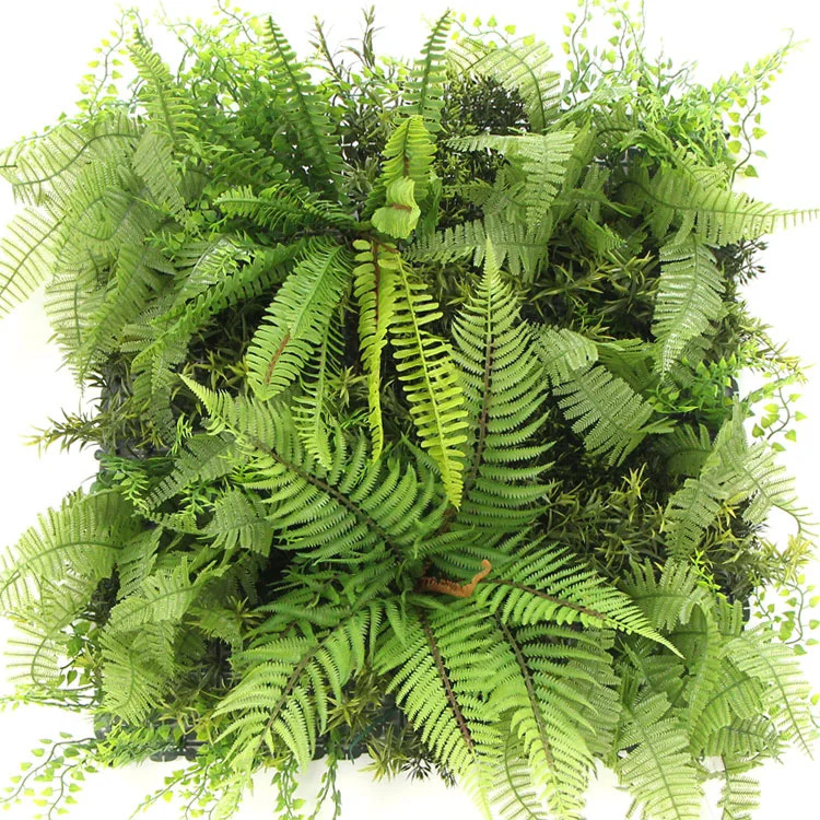 MINI WALL GREEN Dicksonia tree fern, dielec 50 x 50 cm