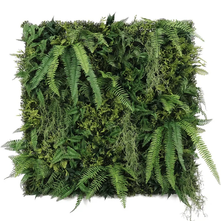 WALL GREEN Boston fern botanica, dielec 100 x 100 cm
