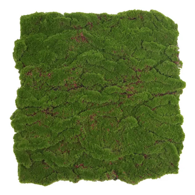 Ball moss, dielec 50 x 50 cm