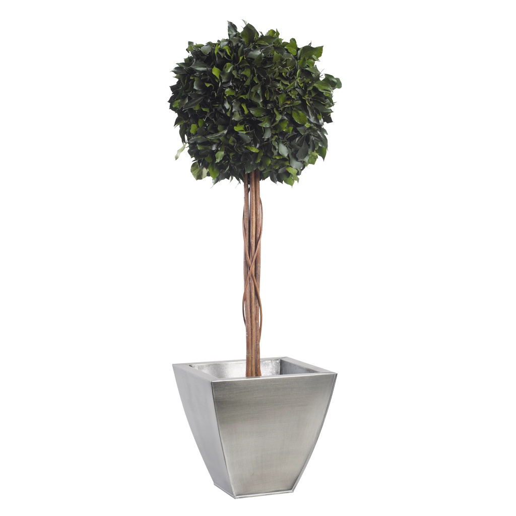 Ivy - simple spehere