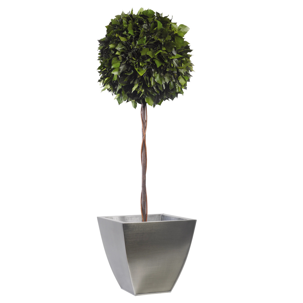 Ivy - simple spehere