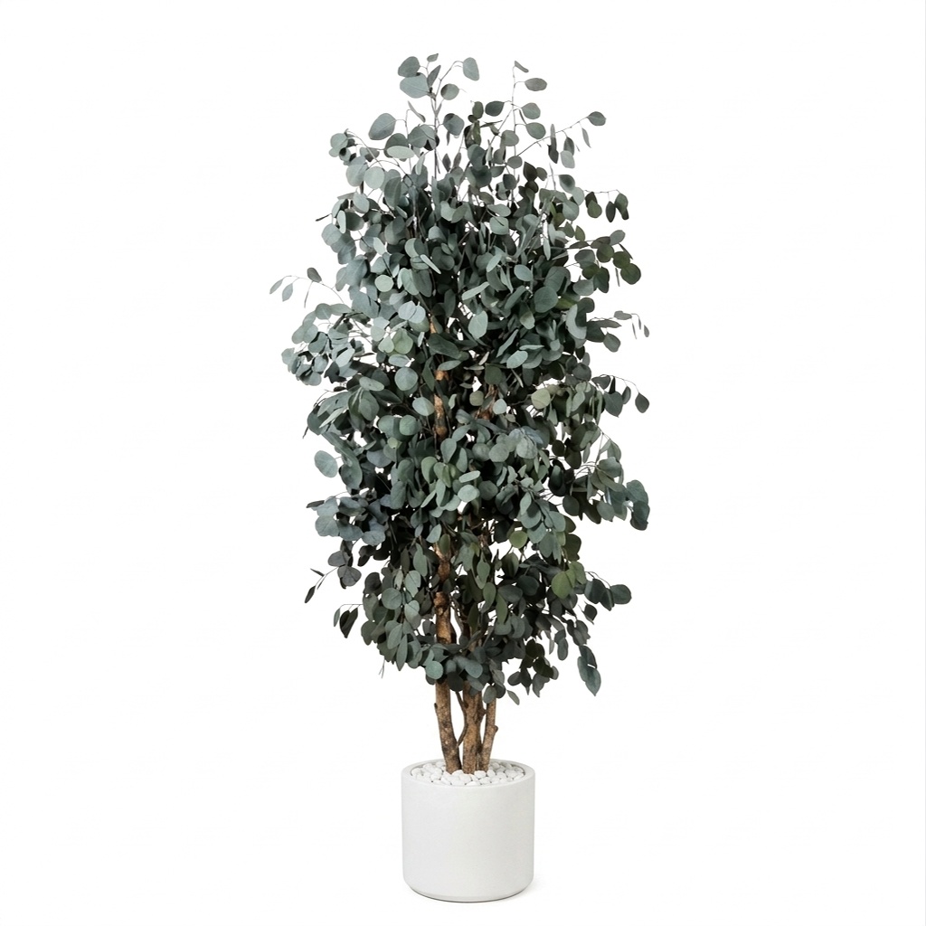 Populus tree