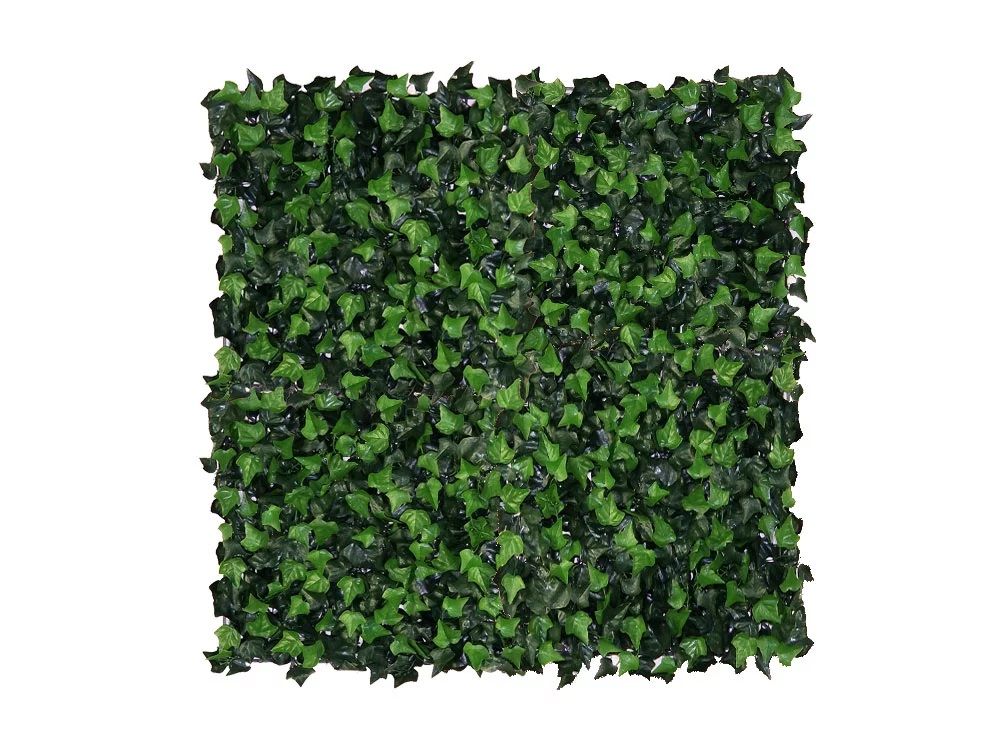 HEDERA, dielec 50 x 50 cm