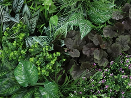 Variabilný WALL GREEN Pilea, dielec 100 x 100 cm