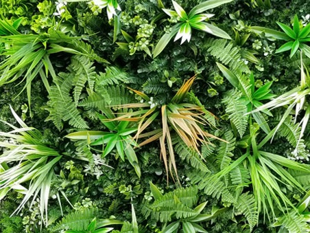 WALL GREEN white Fern, dielec 100 x 100 cm