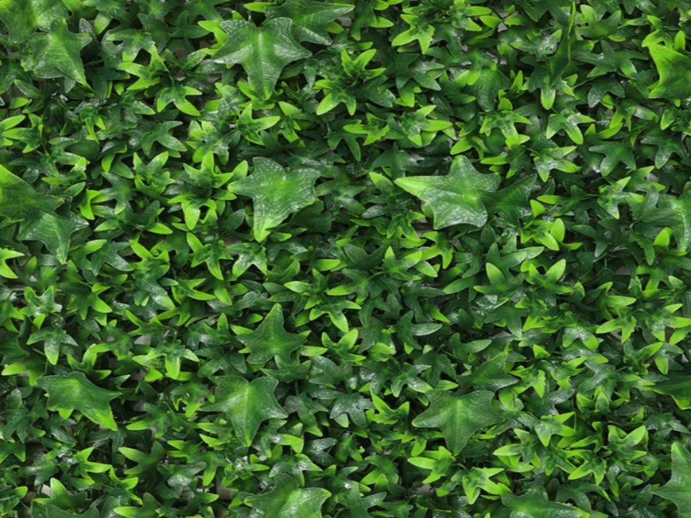 Hedera mini, dielec 50 x 50 cm