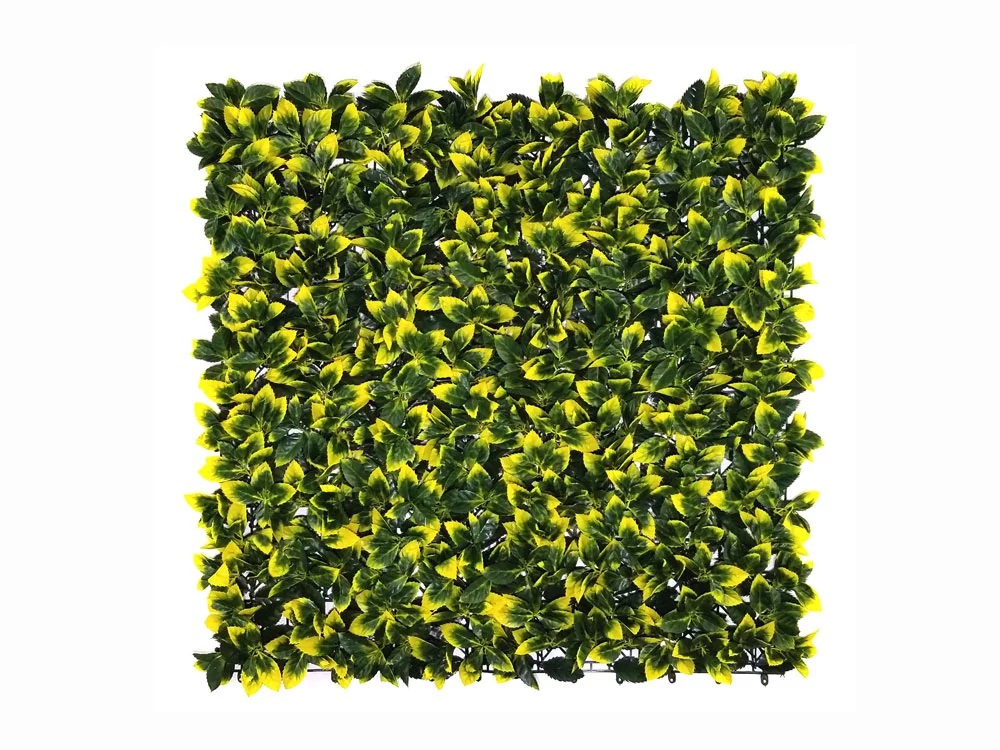 ILEX VG, dielec 50 x 50 cm