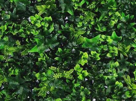 MINI WALL GREEN Hedera, dielec 50 x 50 cm