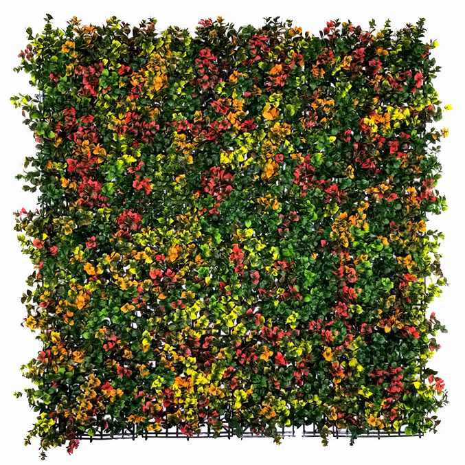 Leucadendron multicolor, dielec 50 x 50 cm