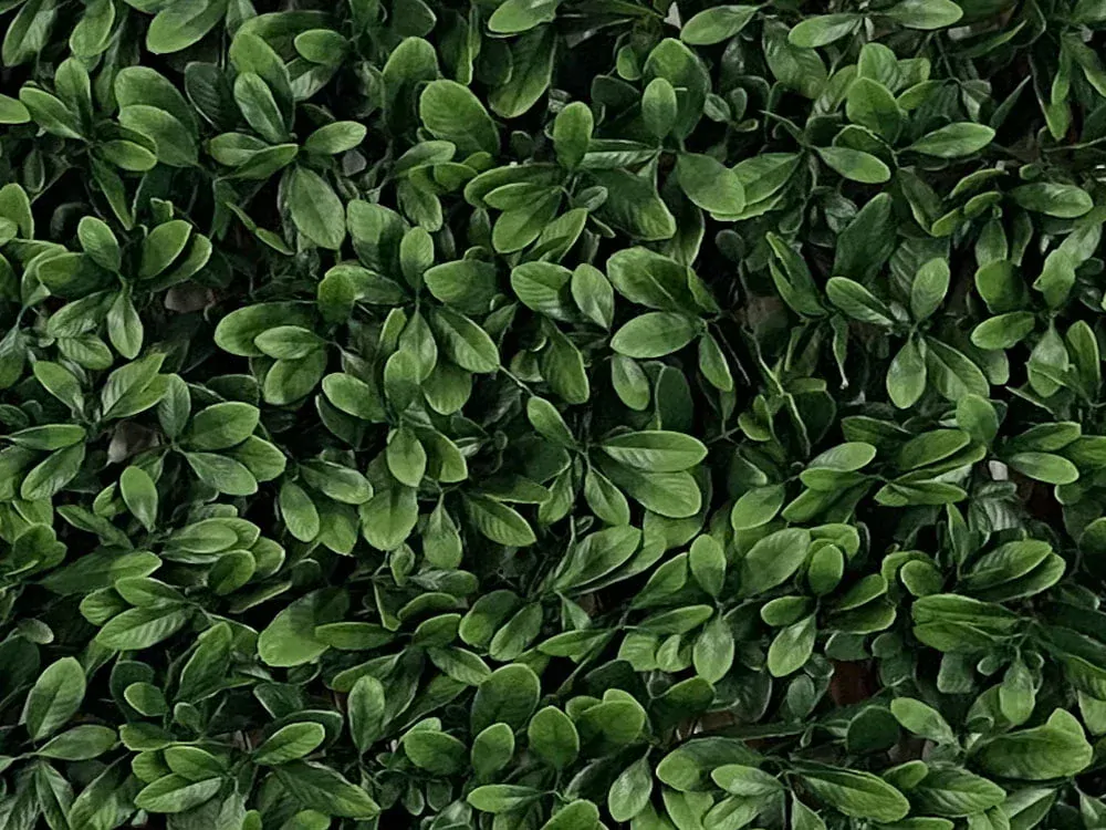 LAURUS EXT, rozmer 1,0x2,0 m