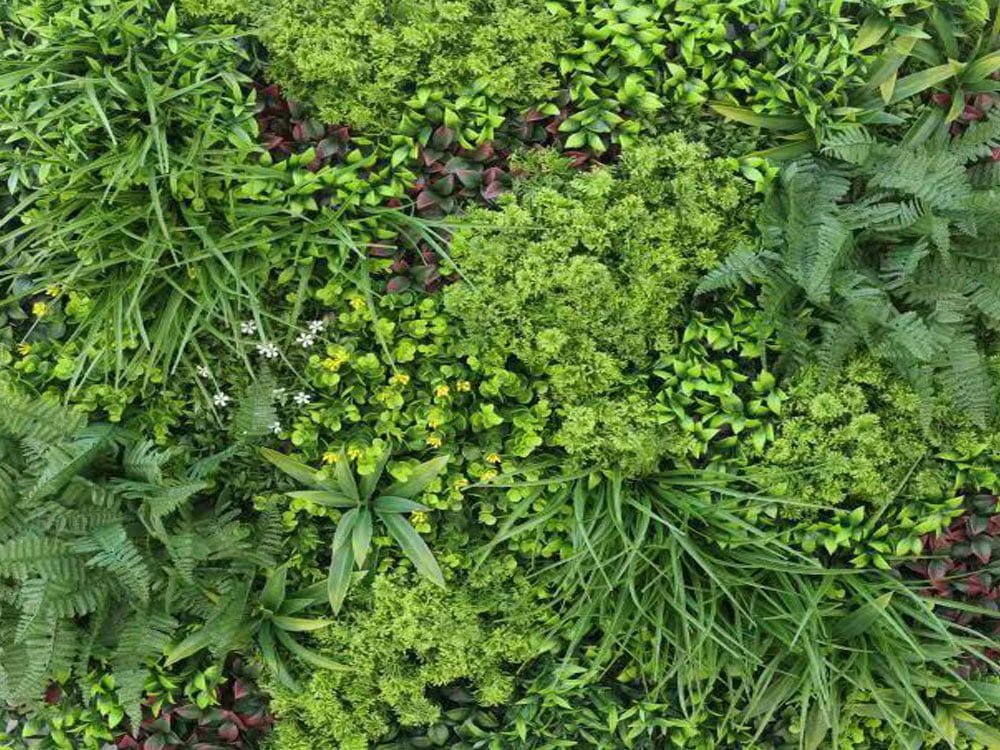 WALL GREEN Jungle - yellow / white flower, dielec 100 x 100 cm