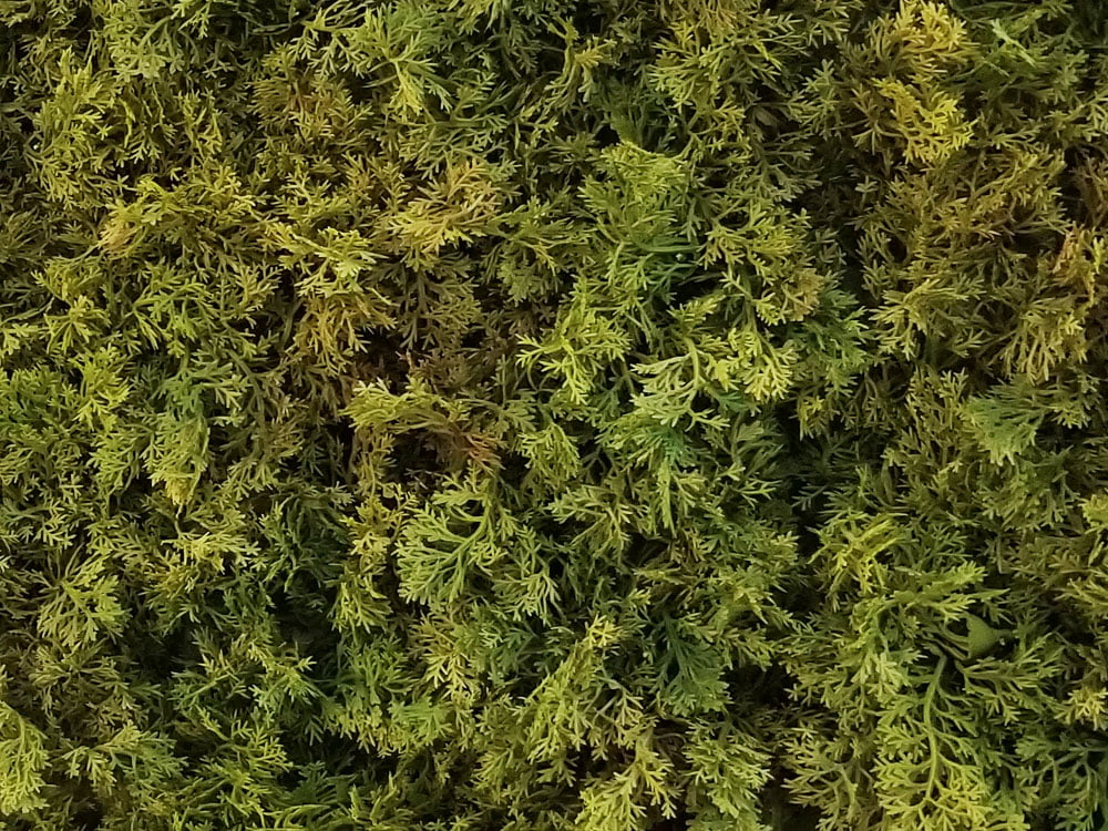 Shaggy moss green/brown, dielec 50 x 50 cm