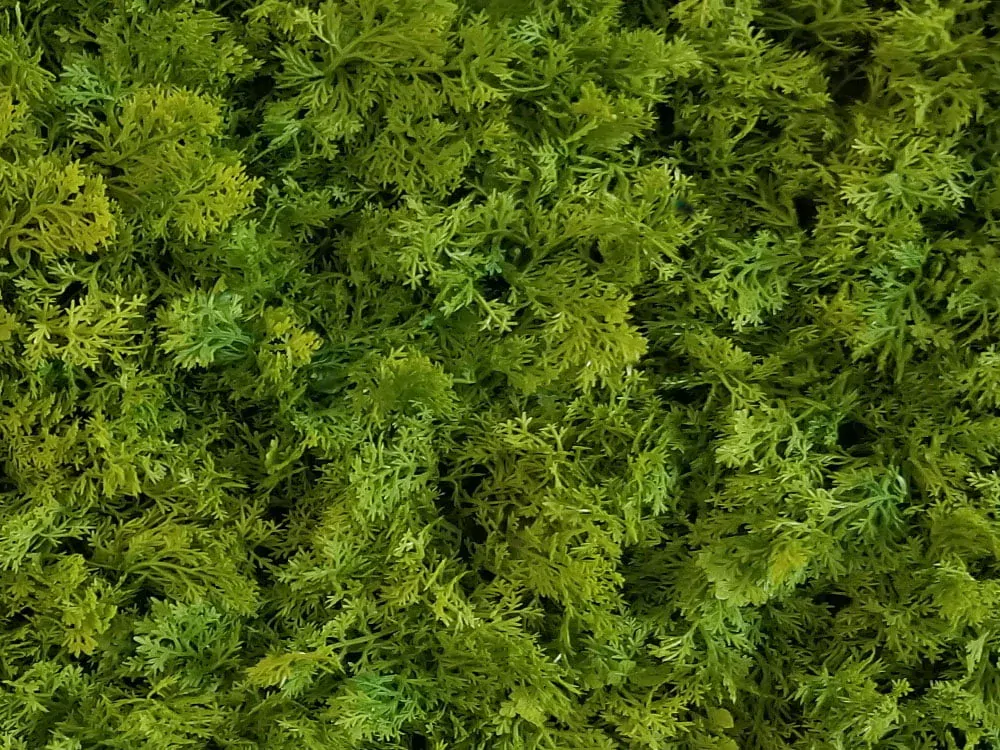 Shaggy moss green, dielec 50 x 50 cm