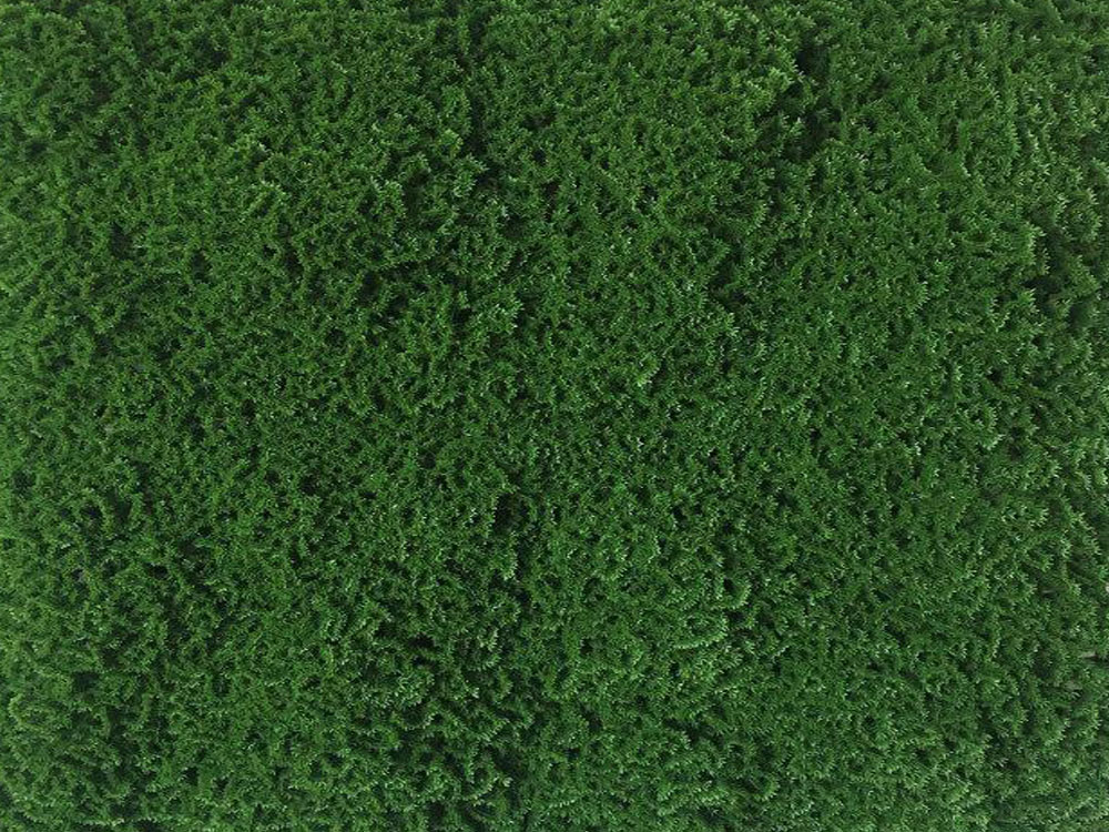 Moss dark green 2, dielec 50 x 50 cm