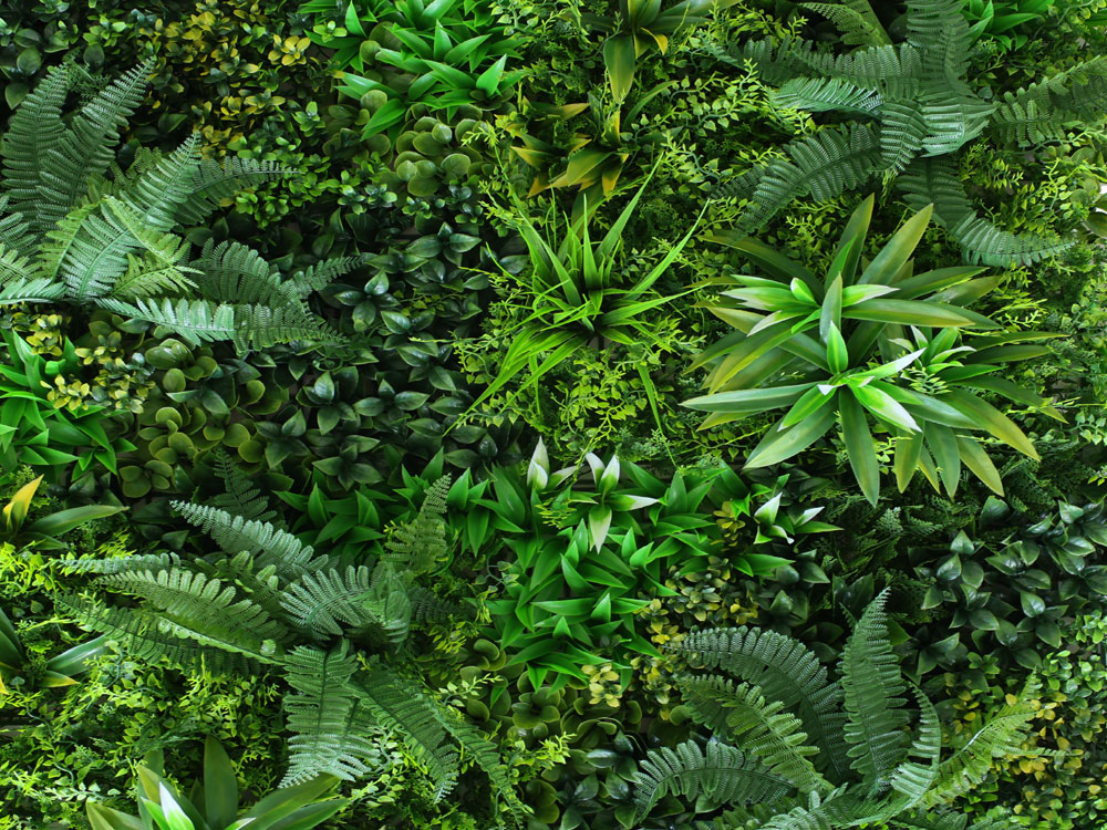 WALL GREEN fern, dielec 100 x 100 cm