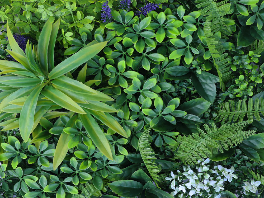 MINI WALL GREEN  herb variation, dielec 50 x 50 cm