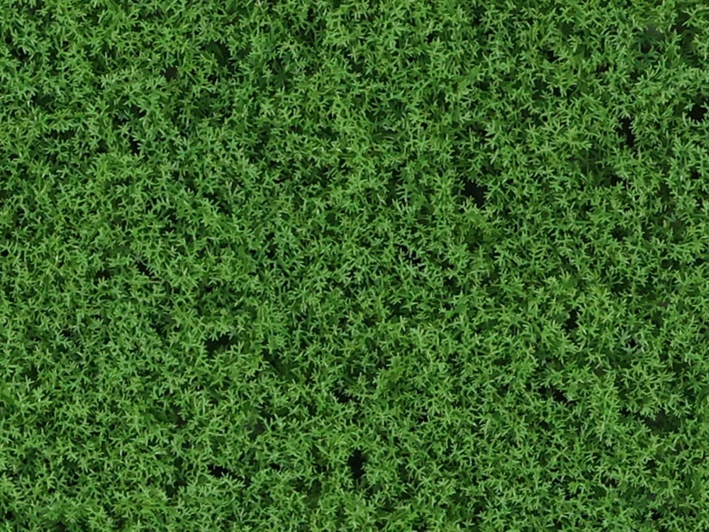 Moss Island dark green, dielec 50 x 50 cm