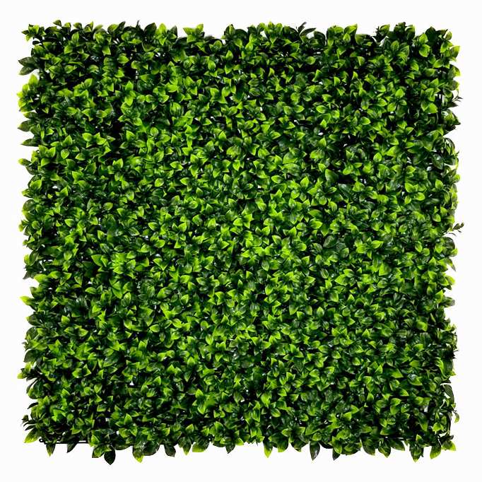 Citrus maxi, dielec 50 x 50 cm