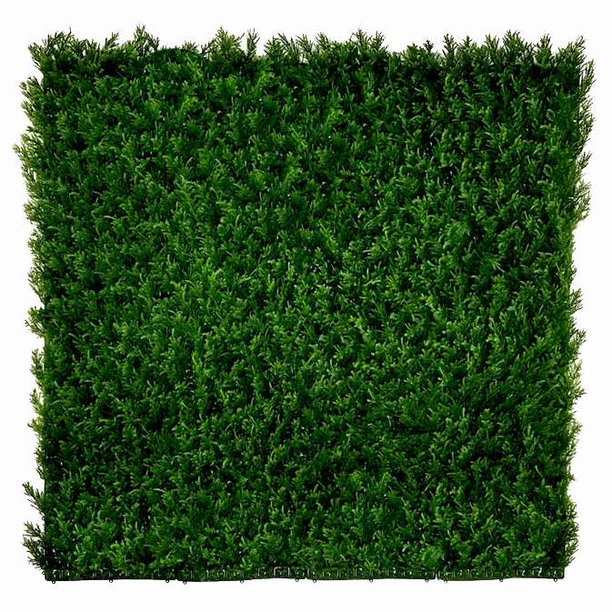 THUJA green, dielec 50 x 50 cm