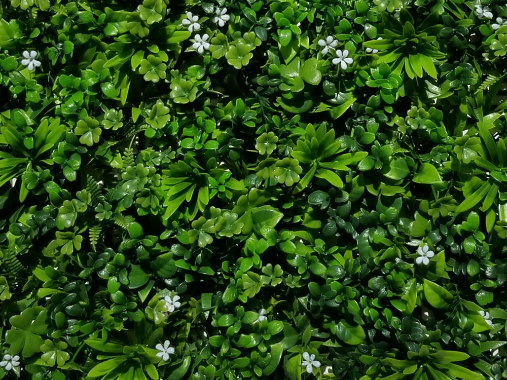 Sedum bloom, dielec 50 x 50 cm
