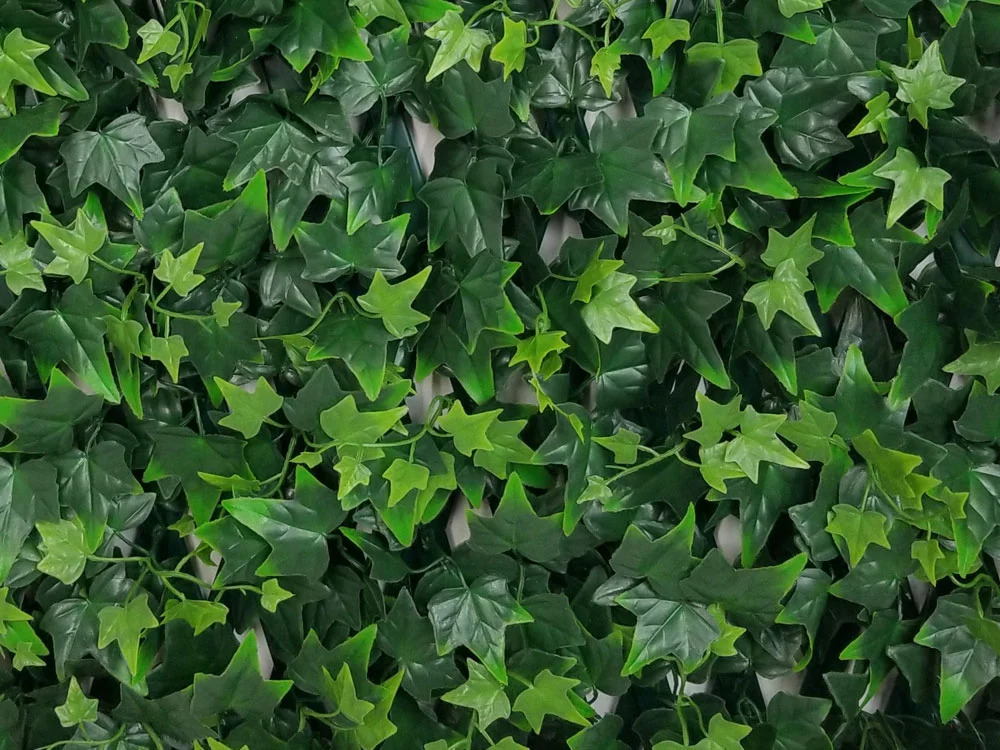 HEDERA EXT, rozmer 1,0x2,0 m