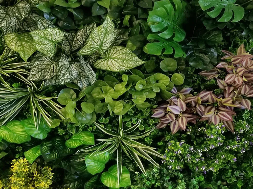 Variabilný WALL GREEN Pilea, dielec 100 x 100 cm