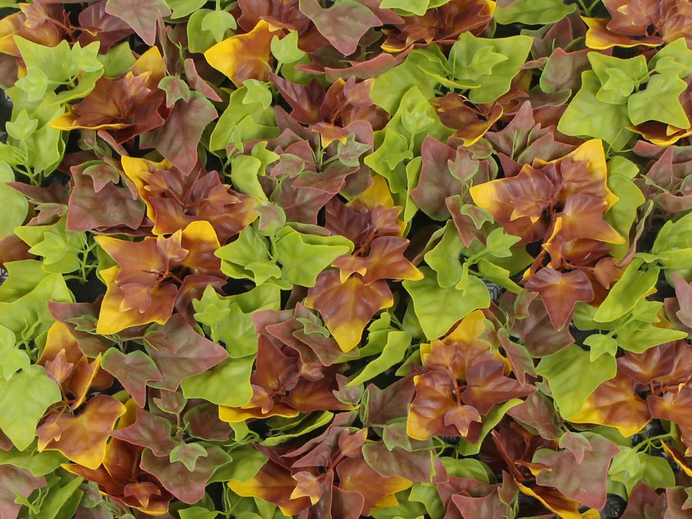 Hedera autumn, dielec 50 x 50 cm