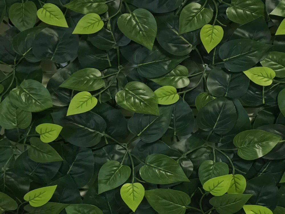 VULGARIS ECONOMY, dielec 50 x 50 cm