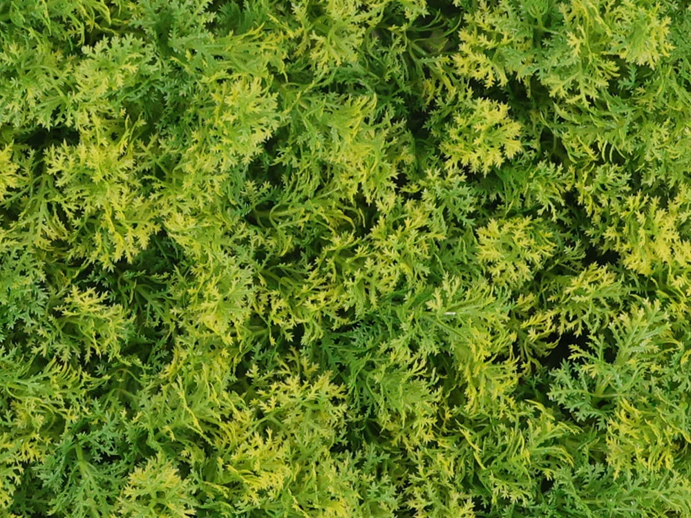 Moss coral yellow, dielec 50 x 50 cm