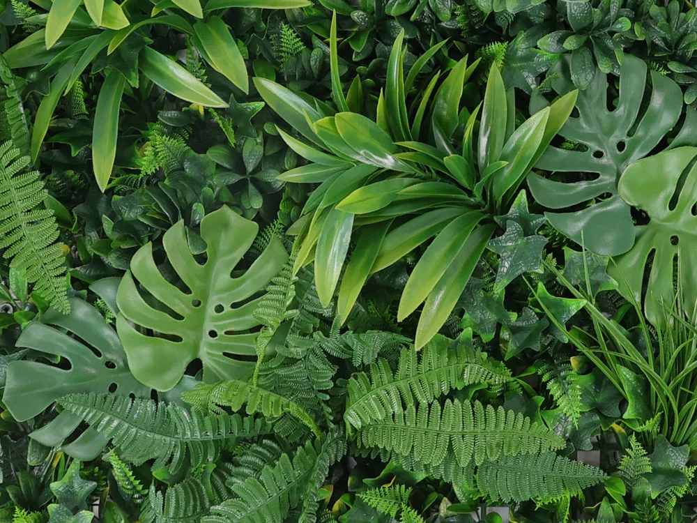 WALL GREEN Monstera, dielec 100 x 100 cm