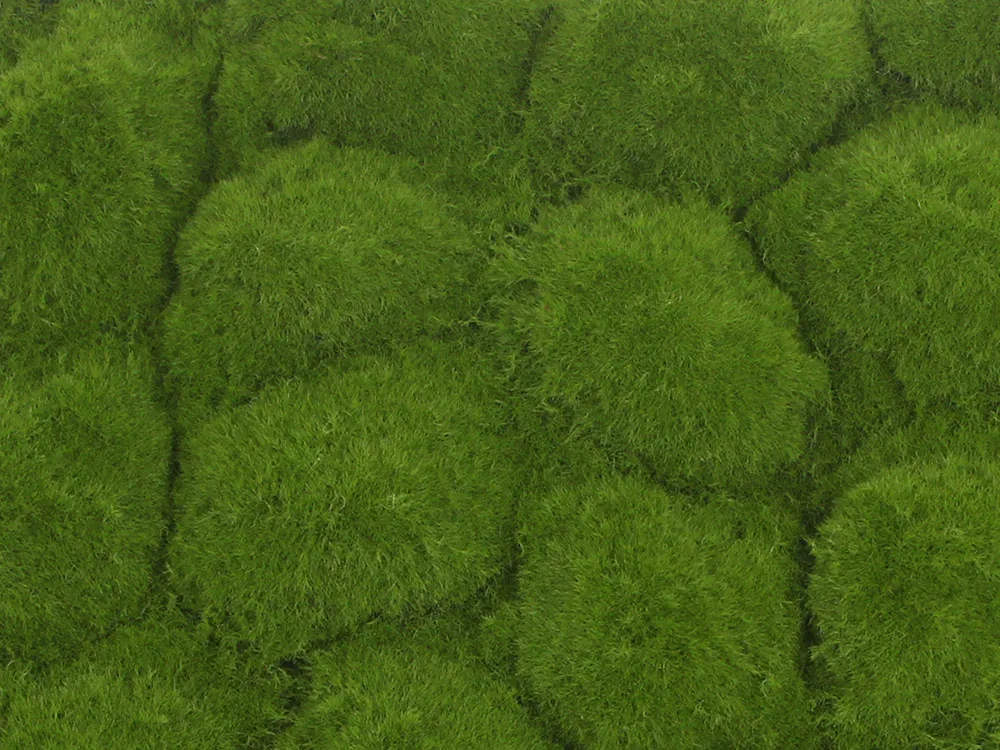 Globe moss light green, dielec 50 x 50 cm