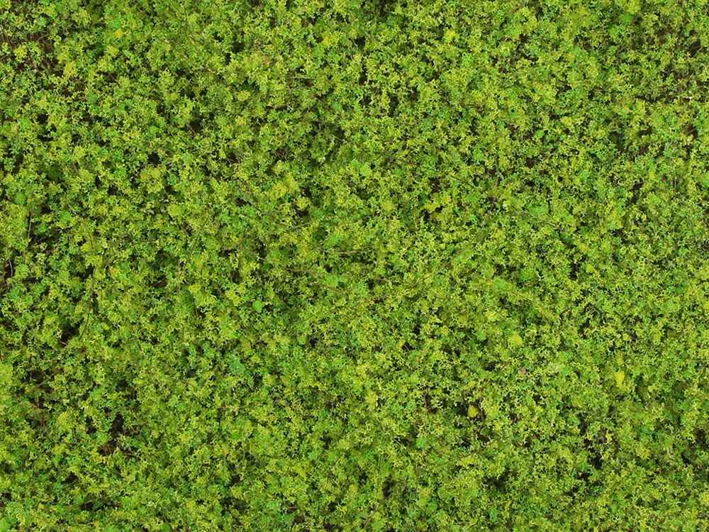 Fine moss light green, dielec 50 x 50 cm