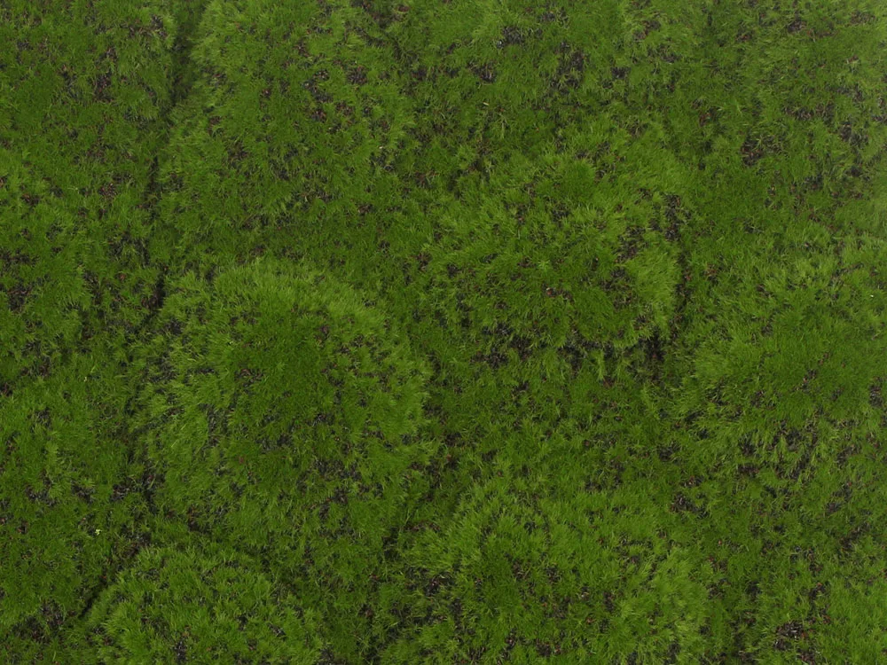 Globe moss green/brown, dielec 50 x 50 cm