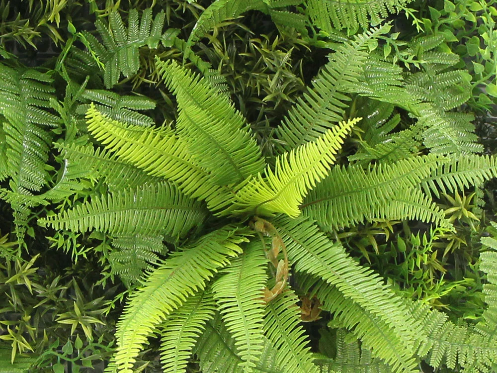 MINI WALL GREEN bush fern, dielec 50 x 50 cm