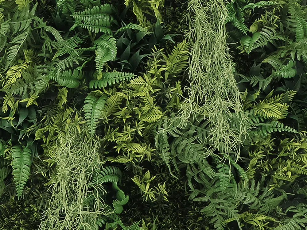 WALL GREEN beard moss fern, dielec 100 x 100 cm