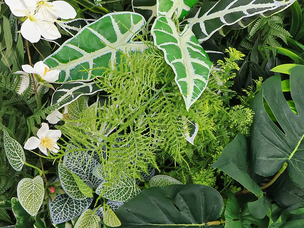MINI WALL GREEN Alocasia, dielec 50 x 50 cm