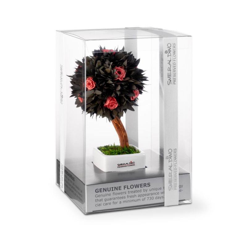 Stromček Parvifolia I