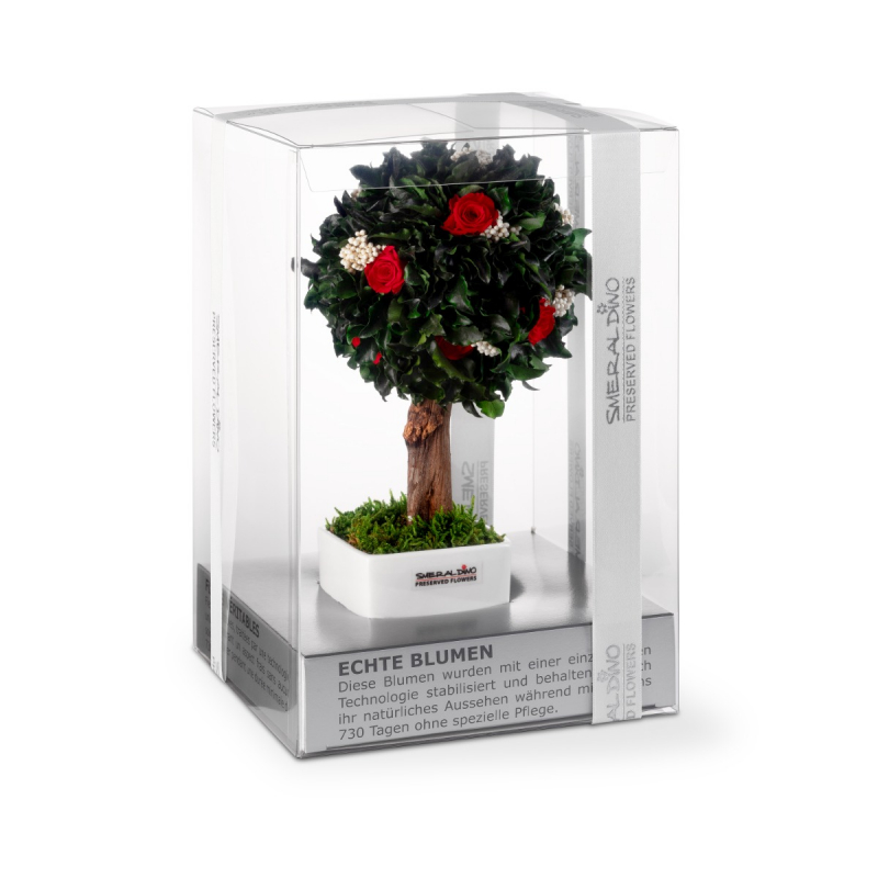 Stromček Pittosporum