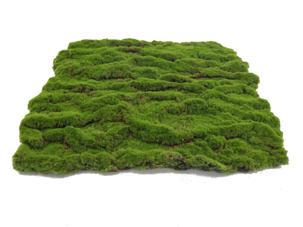 Ball moss, dielec 50 x 50 cm