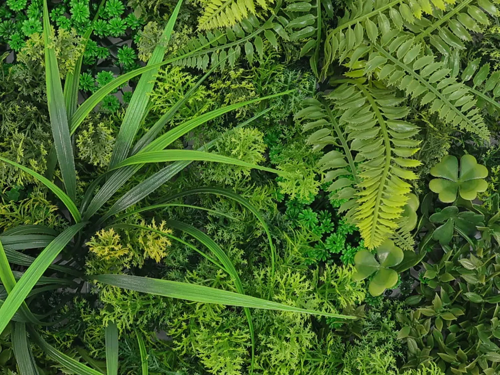 MINI WALL GREEN moss fern flora, dielec 50 x 50 cm