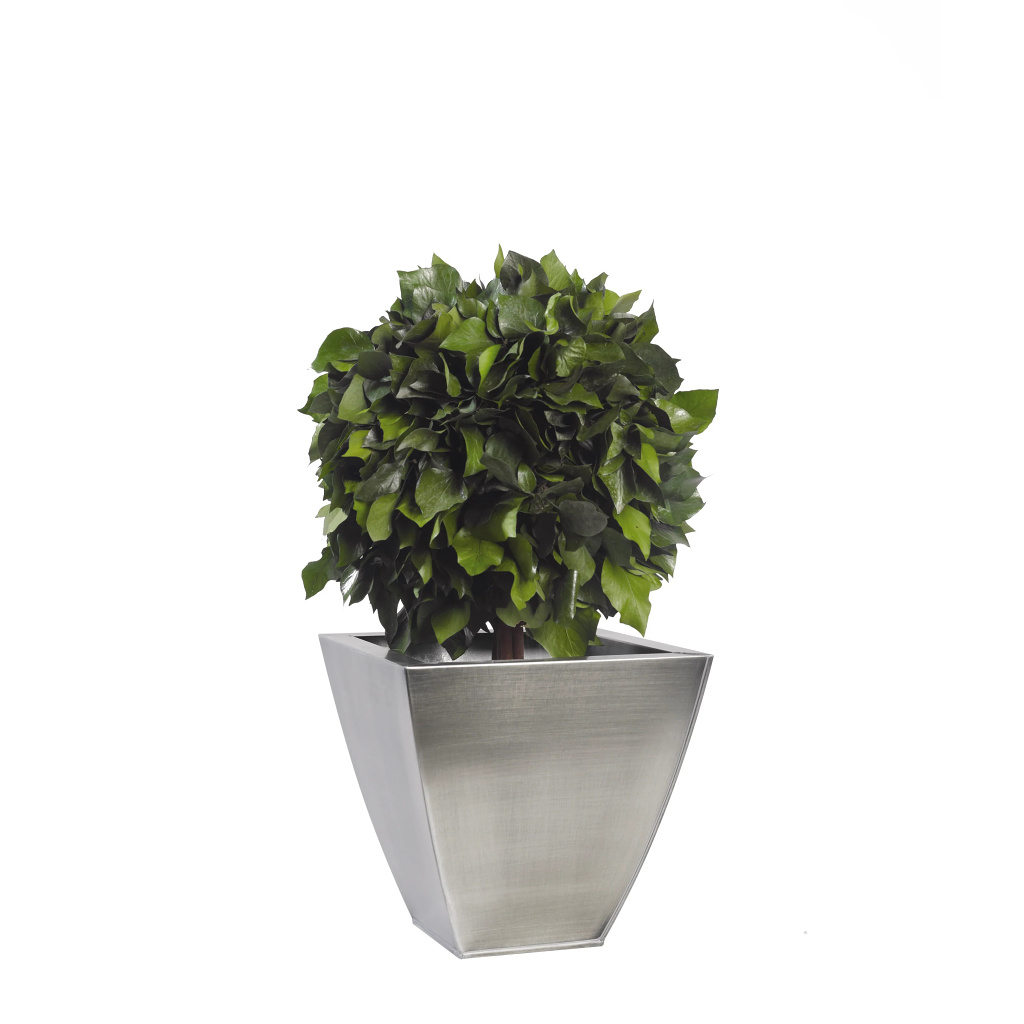 Ivy - simple spehere