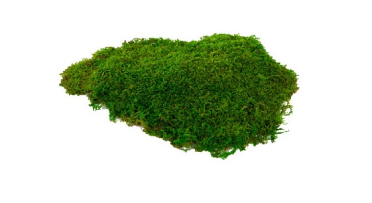 Mach plochý 0,5 kg