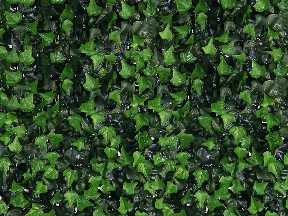 HEDERA, dielec 50 x 50 cm